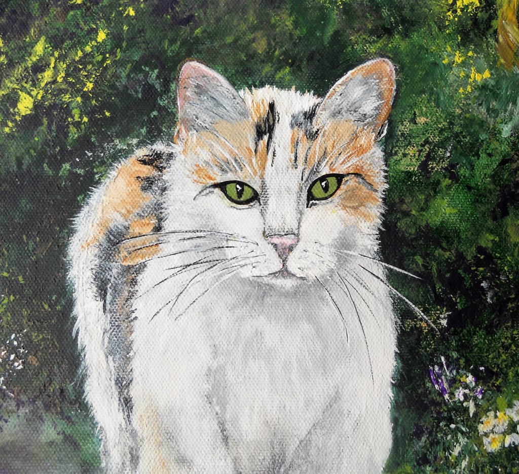 Katze Mimi, Tiere, Acryl, Romy Rizzi, Krumpendorf, Pritschitz